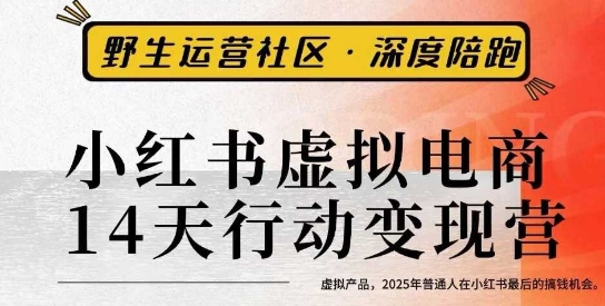 小红书虚拟电商14天变现训练营3.0，​虚拟产品，2025年普通人在小红书最后的搞钱机会-财仔梦想资源网