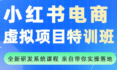 陆明明·小红书虚拟项目特训班(更新9月)-财仔梦想资源网