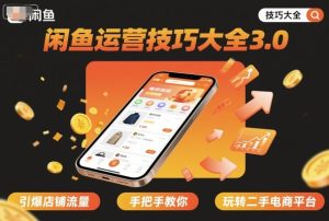 闲鱼运营技巧大全3.0，引爆店铺流量，手把手教你玩转二手电商平台-财仔梦想资源网