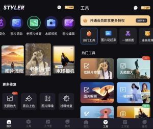 Styler图片处理v3.7.6纯净版-财仔梦想资源网