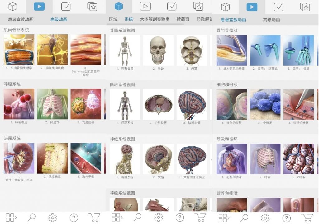 Atlas人体解剖学图谱v2026.00.019高级版-财仔梦想资源网