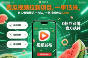 西瓜视频拉新项目，一单13米，有人悄悄用这个方法，一条视频收益2.5w+(附详细教程)-财仔梦想资源网