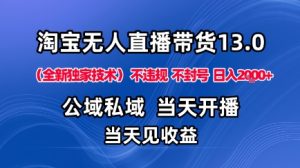 淘宝无人直播13.0，公域私域技术，不封号，不违规布局下半年旺季赛道，日入1K+(独家技术)【揭秘】-财仔梦想资源网