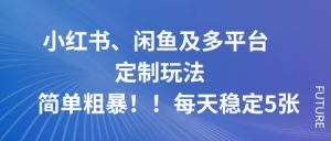 小红书、闲鱼及多平台定制玩法简单粗暴！每天稳定5张-财仔梦想资源网