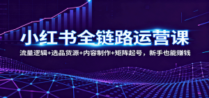 小红书全链路运营课：流量逻辑+选品货源+内容制作+矩阵起号，新手也能赚钱-财仔梦想资源网