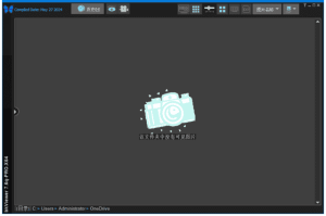 bkViewer小巧精悍数码照片浏览器v8.1中文绿色版-财仔梦想资源网