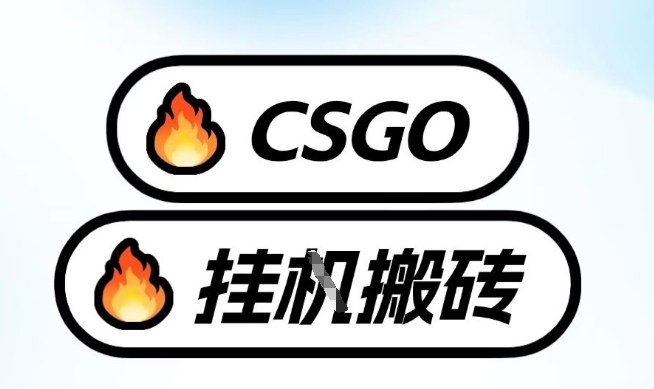 真全网独家CSGO挂G，最新玩法,单日捡漏1K+，不用电脑，不用打游戏【揭秘】-财仔梦想资源网