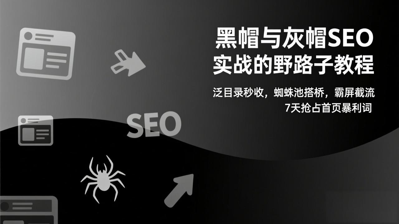 黑帽与灰帽SEO实战的野路子教程：泛目录秒收，蜘蛛池搭桥，霸屏截流，7天抢占首页暴利词-财仔梦想资源网