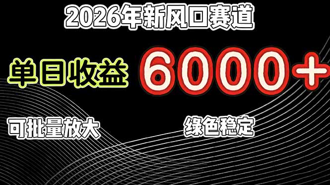 2026年新风口赛道，当日6000+以上，可批量放大，月收入20万+，长期绿色稳定的项目-财仔梦想资源网