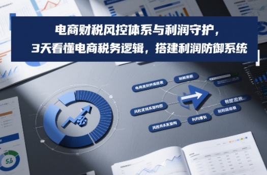 电商财税风控体系与利润守护，3天看懂电商税务逻辑，搭建利润防御系统-财仔梦想资源网