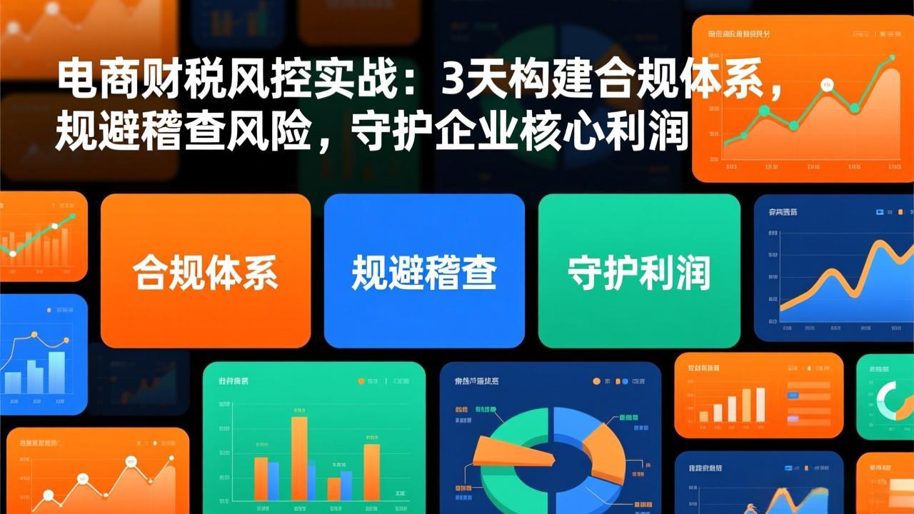 电商财税风控实战：3天构建合规体系，规避稽查风险，守护企业核心利润-财仔梦想资源网