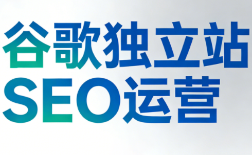 谷歌独立站SEO运营(更新2026)-财仔梦想资源网