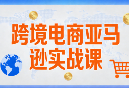 丝丝老师·跨境电商亚马逊实战课(更新2月)-财仔梦想资源网