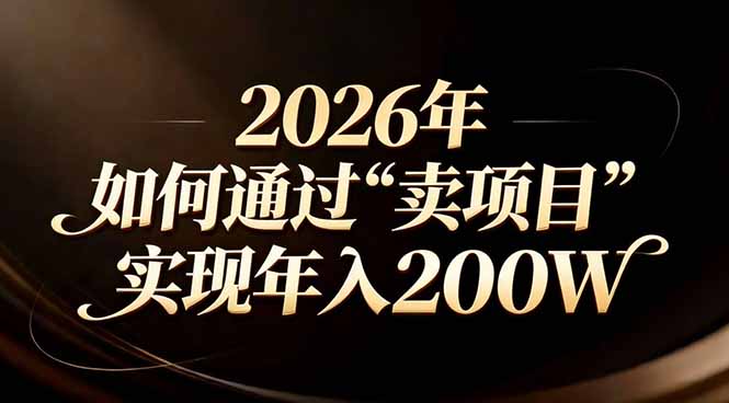 站在2026年的十字路口：一个普通人如何通过卖项目实现年入200万-财仔梦想资源网