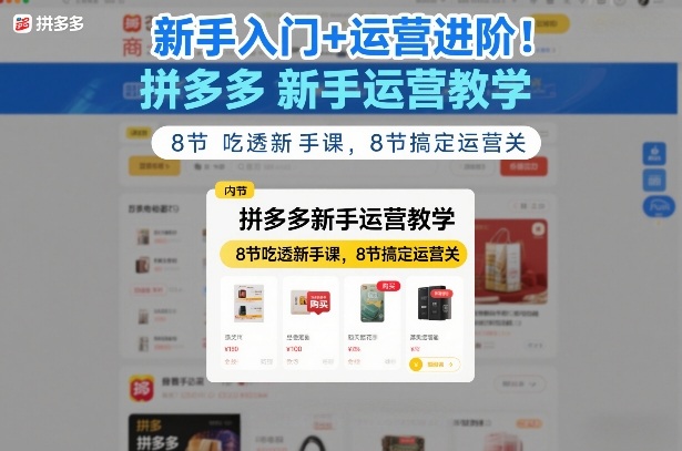 新手入门+运营进阶！拼多多新手运营教学，8节吃透新手课，8节搞定运营关-财仔梦想资源网